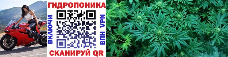 Купить закладку Медвежьегорск COCAIN Амфетамин Метамфетамин OMG ссылки Псилоцибиновые грибы МАРИХУАНА Меф ГАШИШ