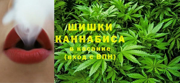 ГАЛЛЮЦИНОГЕННЫЕ ГРИБЫ Козельск